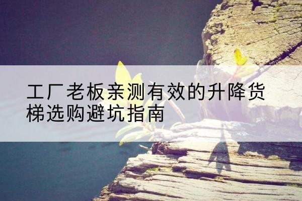 庐阳升降货梯怎么选-工厂老板亲测有效的升降货梯选购避坑指南