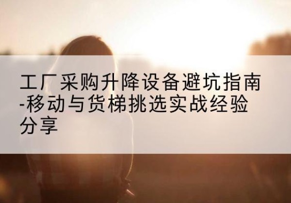 庐阳移动式升降机怎么选-工厂采购升降设备避坑指南-移动与货梯挑选实战经验分享