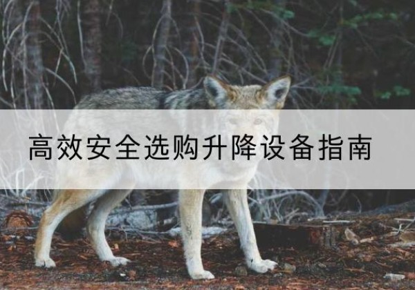 庐阳升降货梯厂家推荐-*安全选购升降设备指南