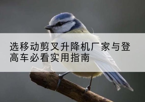 庐阳电动升降机厂家-选移动剪叉升降机厂家与登高车必看实用指南