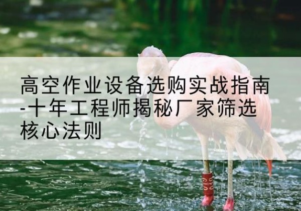 庐阳剪叉式升降机厂家-高空作业设备选购实战指南-十年工程师揭秘厂家筛选核心法则