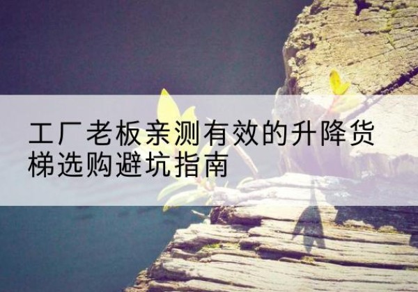 庐阳升降货梯怎么选-工厂老板亲测有效的升降货梯选购避坑指南